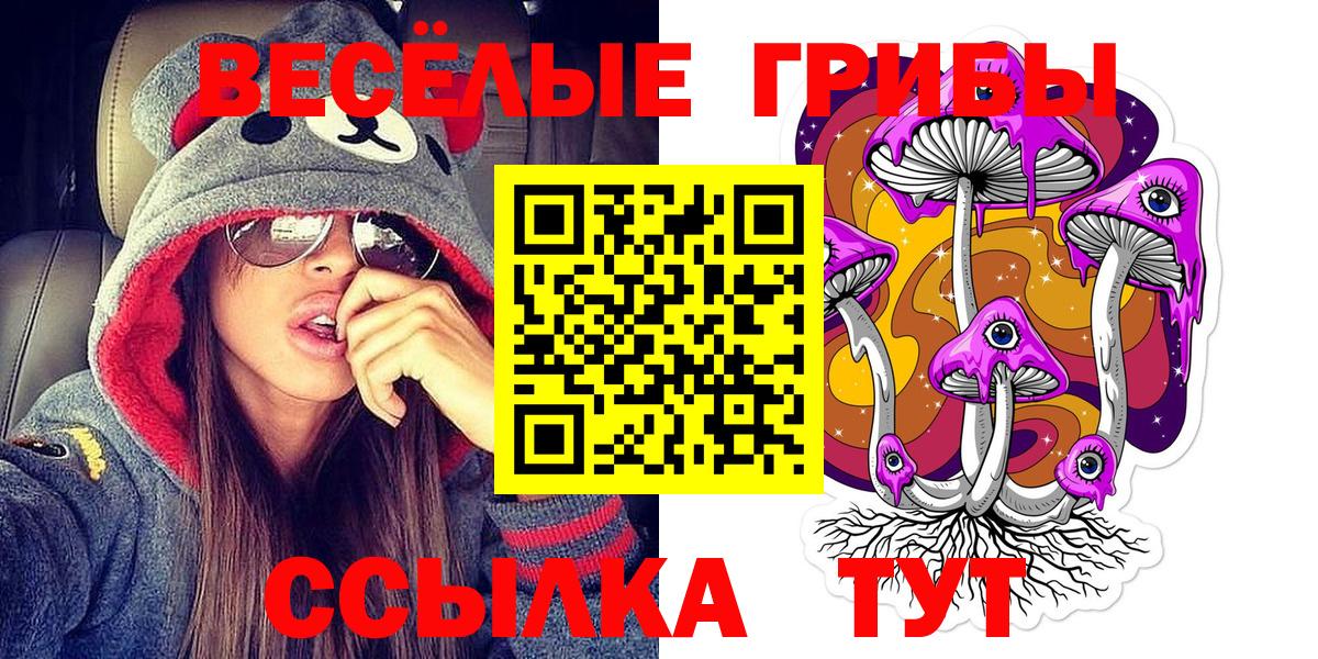 Галлюциногенные грибы Psilocybine cubensis Гурьевск