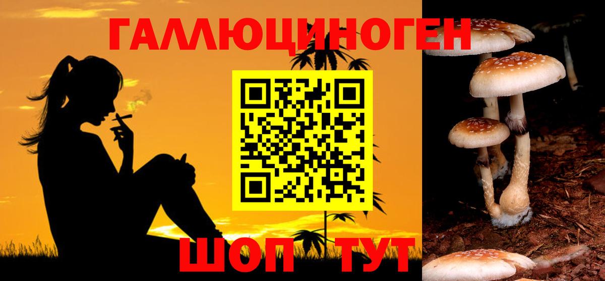 закладки  Вход с VPN  Гурьевск  Галлюциногенные грибы Psilocybe 